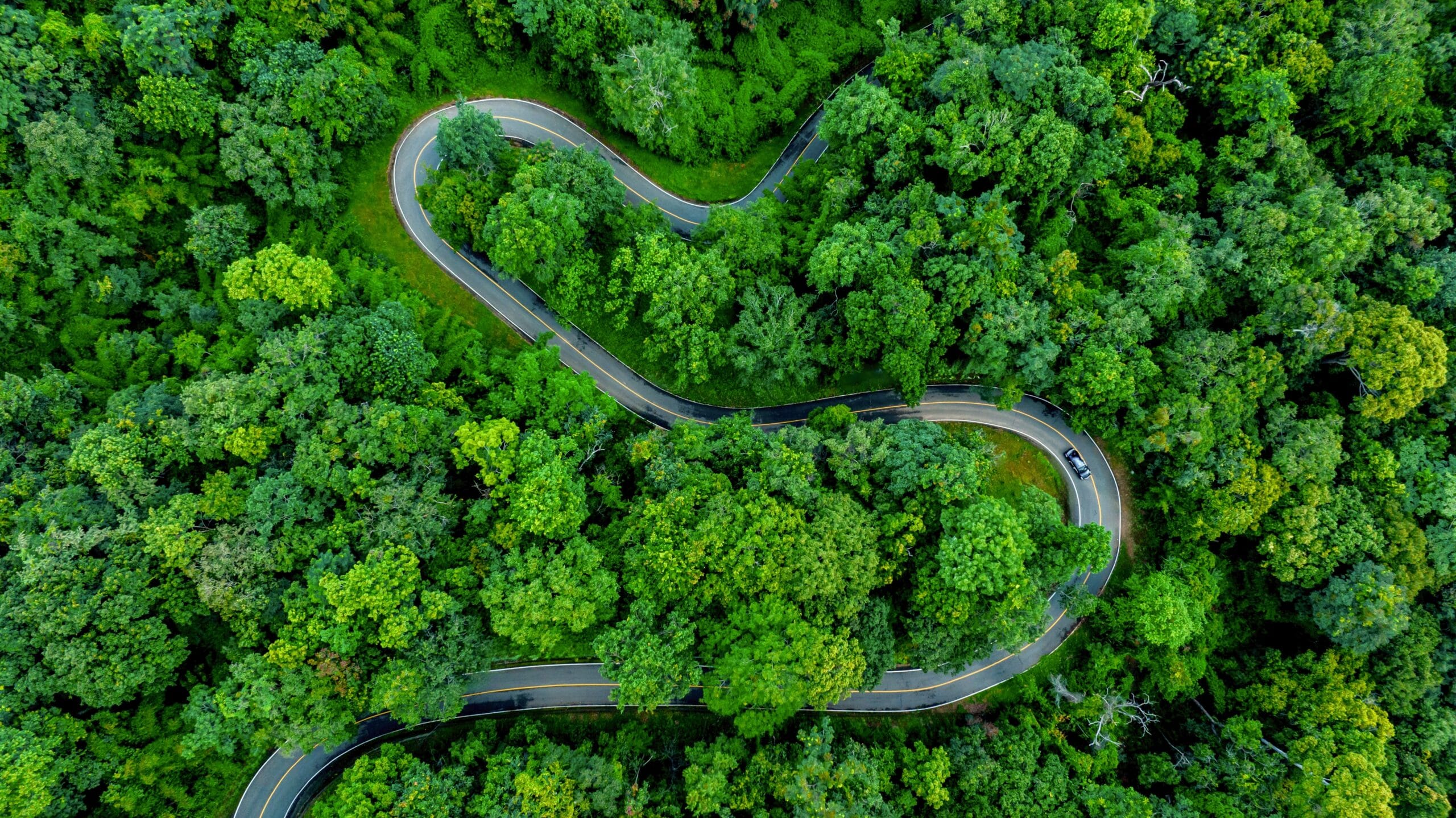 Aerial,Top,View,Road,In,Forest,With,Car,Motion.,Winding
